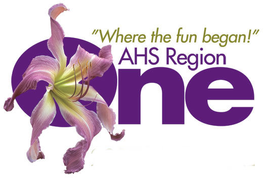 AHS Region 1 button:  where the fun began!